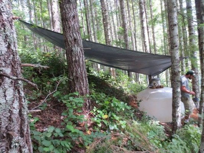 Click here for full details.